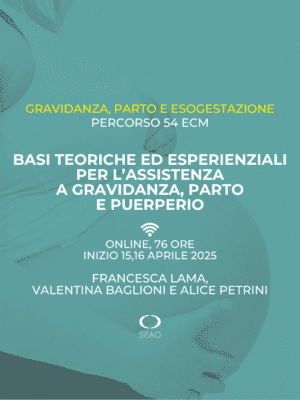 Basi teoriche ed esperienziali per l'assistenza a gravidanza, parto e puerperio SEAO 2025 54 ecm